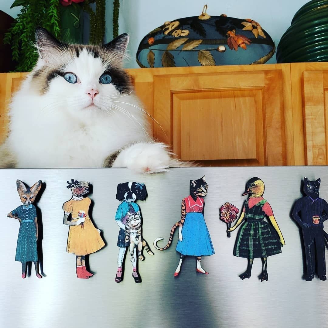 Pergamo Paper Goods Animal Magnets