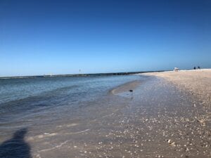 MasonGehring_HoneymoonShoreline