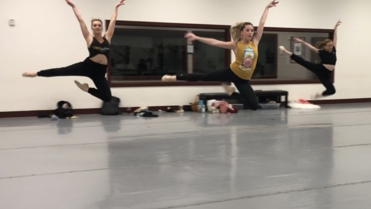 The Georgia Dance Theatre