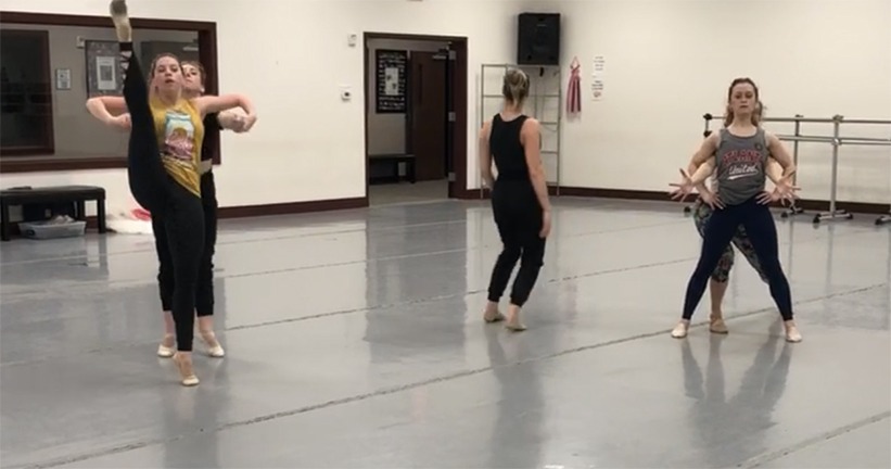 The Georgia Dance Theatre