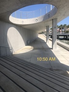 The St. Petersburg Pier