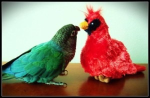 Bela and his friend.