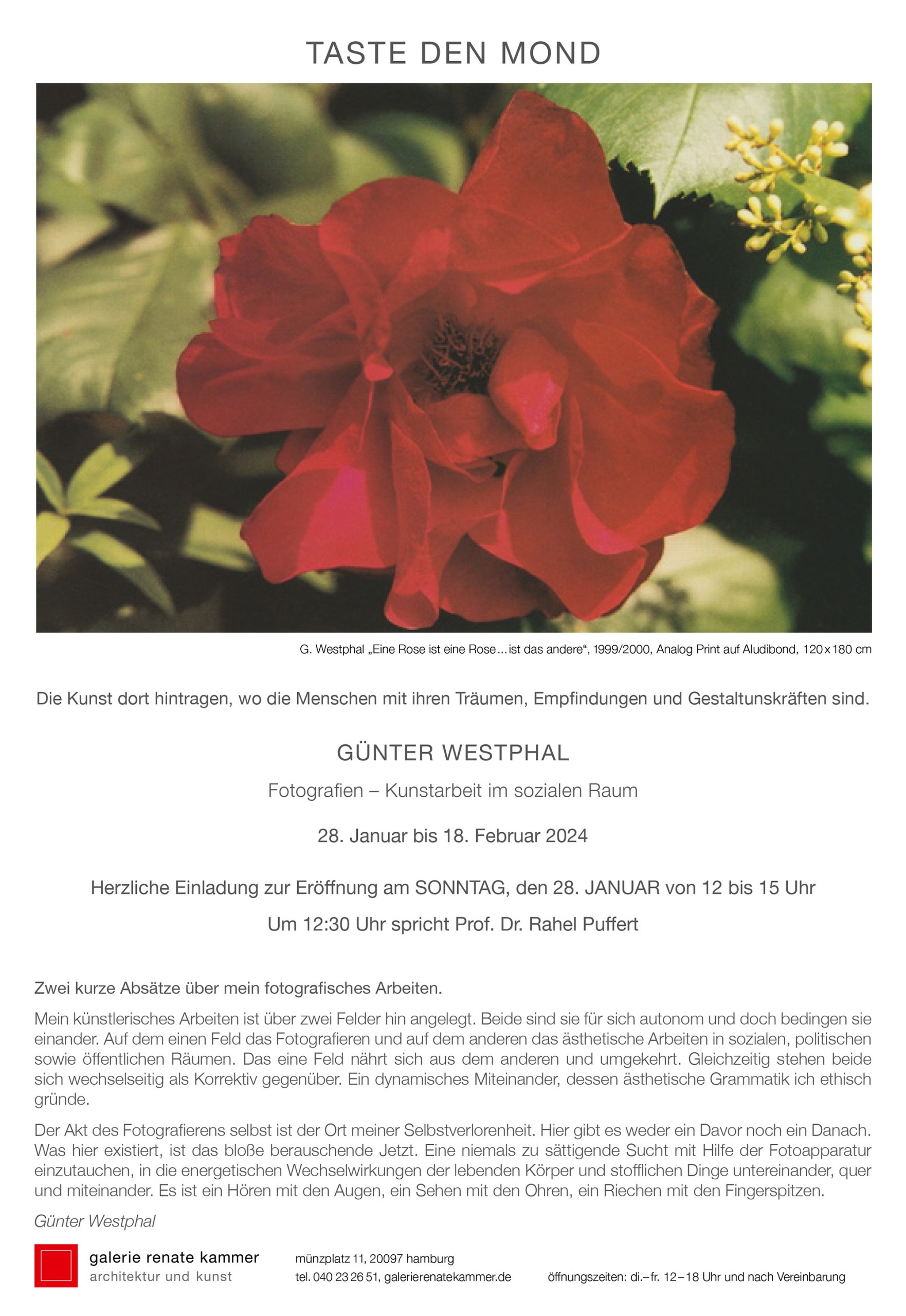 Guenter Westphal, Taste den Mond, invitation, rose