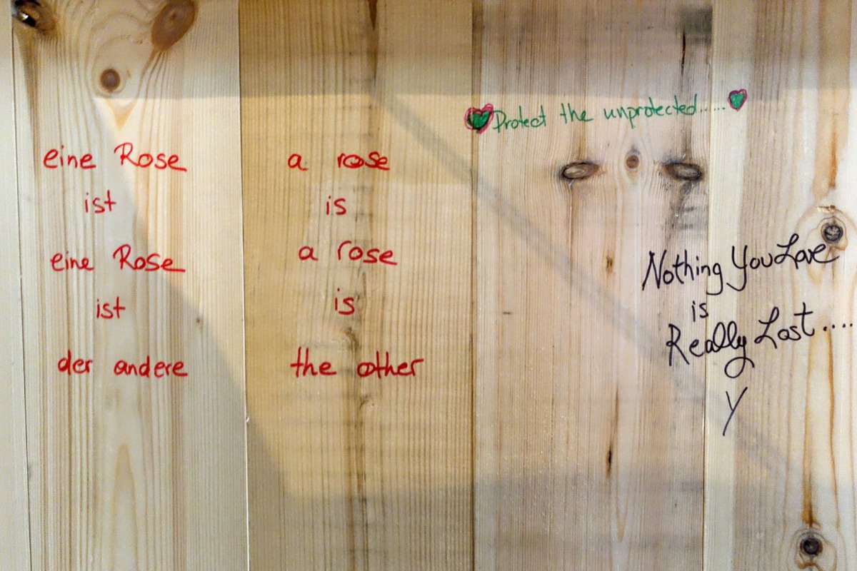 a rose is a rose is the other, protect the unprotected, nothing you love is really lost